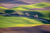 Palouse Workshop, April 27 – May 1, 2026