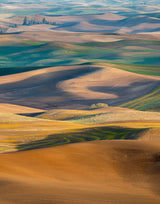 Palouse Workshop, April 27 – May 1, 2026