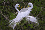 Charleston Workshop, March 16-20, 2026 (Completed)