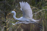 Charleston Workshop, March 16-20, 2026 (Completed)