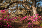 Charleston Workshop, March 16-20, 2026 (Completed)