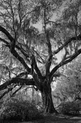 Charleston Workshop, March 16-20, 2026 (Completed)