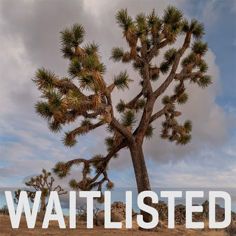 Joshua Tree National Park Workshop, March 8-12, 2027 (Deposit)