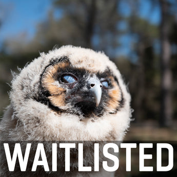 Charleston Workshop, March 16-20, 2026