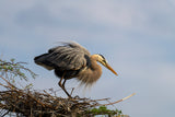 Charleston Workshop, March 16-20, 2026 (Completed)