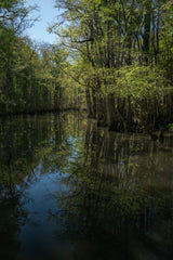 Charleston Workshop, March 16-20, 2026 (Completed)