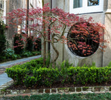 Charleston Workshop, March 16-20, 2026 (Completed)