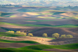 Palouse Workshop, April 27 – May 1, 2026