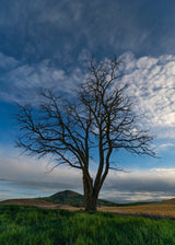 Palouse Workshop, April 27 – May 1, 2026