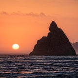 Olympic National Park Workshop, July 27-31, 2026 (Deposit)