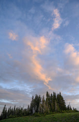 Olympic National Park Workshop, July 27-31, 2026 (Deposit)