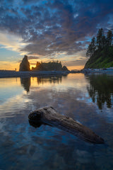 Olympic National Park Workshop, July 27-31, 2026 (Deposit)