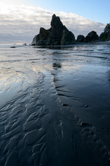 Olympic National Park Workshop, July 27-31, 2026 (Deposit)