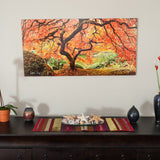 Portland Printing Workshop, Feb. 3-6 and 15-18, 2026 (Completed)